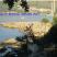 "JELE AND LUKA'S GUESTHOUSE", private accommodation in city Dubrovnik, Croatia - Plazica Solitudo, jesen